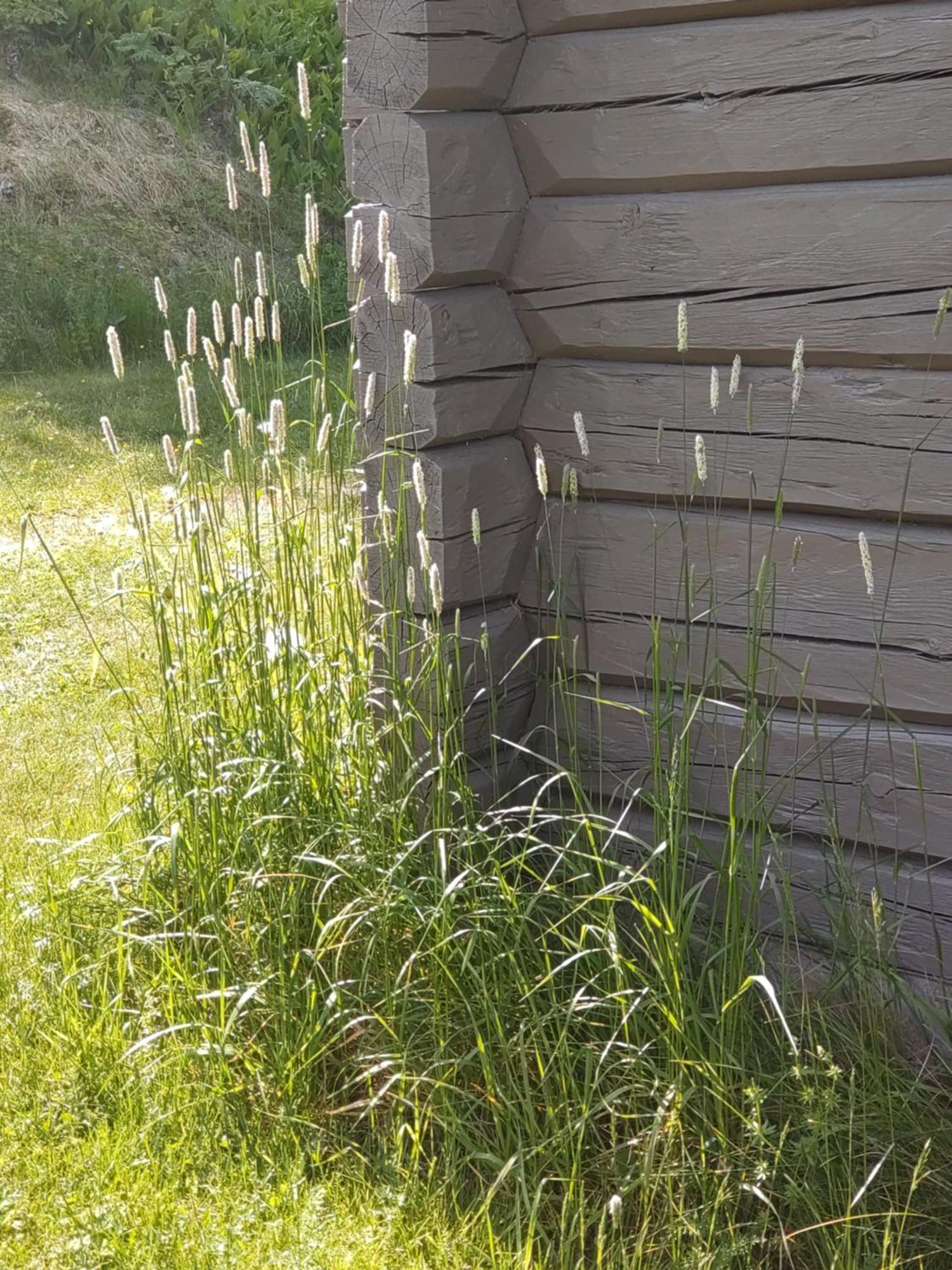 Fyrkloeverns Stugby Rättvik Zewnętrze zdjęcie